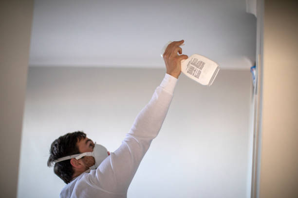 Best Kitchen Mold Remediation in Thiells, NY